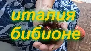 Цены на базаре Линьяно-Италия | Lignano сегодня . 2023