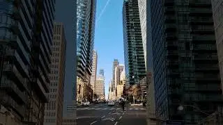 Toronto Vibes........#toronto #torontolife #cntower #music #cinematic #downtown #concretejungle