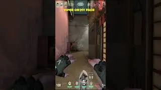 VIPER ON MY FACE #valorant #valorantclips #royalgamer