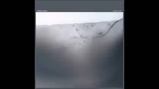 Simone Bauer - Iperbolica [CNF002]