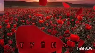 Шодравон Олими Давлат, туёна,