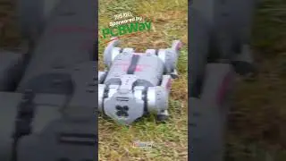 🐶 Robot dog at 