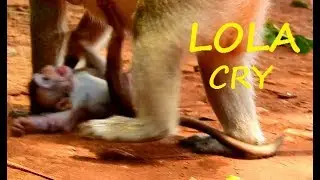 OMG ! Why ! Million hurt much LOLA Cry seizure 0n ground scare mom leave| LOLA Cry-Cry scare alone