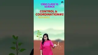 Control & Coordination in Plants Class 10 #shorts #freehaiparbesthai