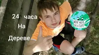 24 часа на дереве