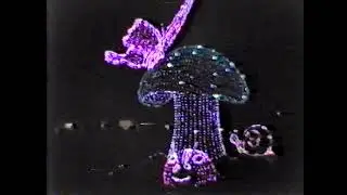 Disney/Florida 1992 Part 4