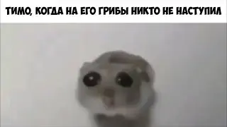 Коротко о Лиге Легенд