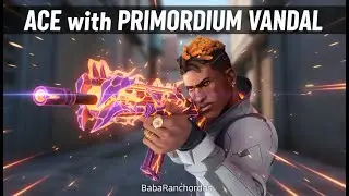 ACE with Phoenix ARAXYS Vandal