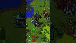 DEAD BY A HOLE (Fortera 2007 8.0)  #oldtibia