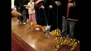 Алтан Хараацай Хүүхэлдэйн Театр