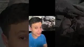 Arrestan a un hombre de Peru por llevar una momia en su mochila