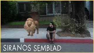 Siranos Semblad  - Final de temporada