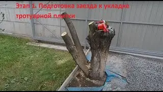 Удаление дерева, подготовка к укладке тротуарной плитки!