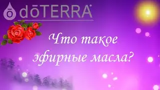 Что такое эфирные масла. 