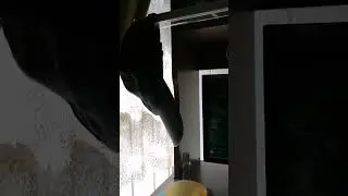 Alerta sísmica de prueba 2023 04 19,