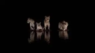A family eating out water for half an hour #nature #peace