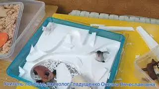 Зимние сенсорные коробки