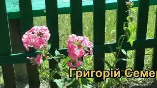 Рідне село де народився,,Батьківська криниця