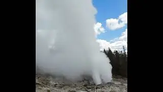 Steamboat Geyser Erupting! #yellowstone #nationalpark #geyser #eruption #nature