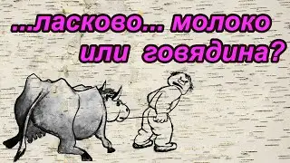 Смешные анекдоты про котёнка, тигрёнка, мужские трусы и ласкового фермера