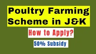 How to Start Poultry Farm in J&K with Govt Support