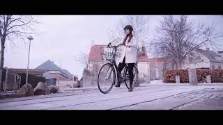 Reklame Fri BikeShop Batavus cykel