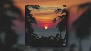 Andy Wavez - Summer Nights (Official Audio)