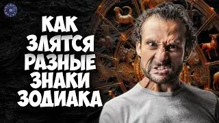 Как злятся разные знаки зодиака