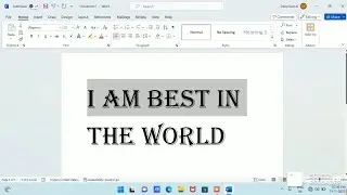 MS Word - Basics