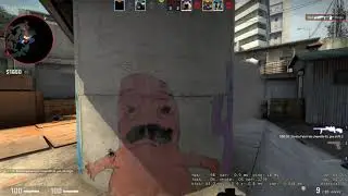awp scout