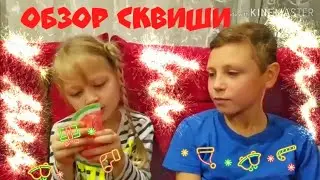 Обзор сквиши