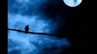 Melancholy Moon - The Andrews Sisters