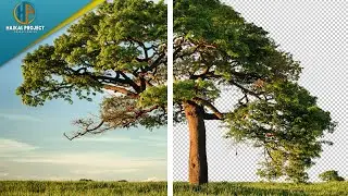 Cara Menghapus Background yang Sulit | Photoshop Tutorial | Haikal Project