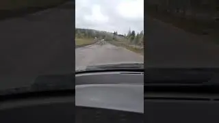 Новая дорога в п. Усть-Язьва