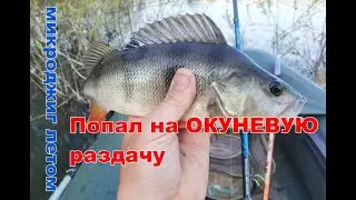 Попал на ОКУНЕВУЮ раздачу! Тестирую микроджиговый Norstream Navigator 762ULL