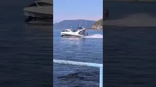 Vlog