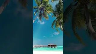 Travels - Travel with Alem - Аlem traveler - Distant Lands  #shorts