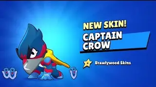 NEW SKIN 