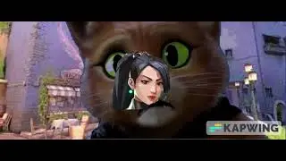 Valorant When You Play Sage