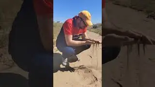 playing in the Sand