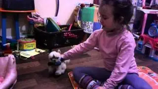 Игра 