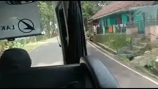 kejar janda cantik pake mobil bus