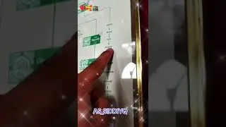 пайғамбар с. с. а. шежіресі