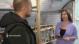 Телеканал Дон 24 в гостях у Алексея Чернявского на его улиточной ферме.