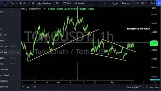 Tomochain TOMO Price Prediction Today - Altcoin Trading