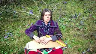 «Родятся звуки» - песня прд гусли. С.Виноградова.