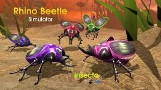 Rhino Beetle Simulator (by Wild Foot Games) Android Gameplay [HD]