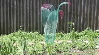 Yard Moodles 1-5