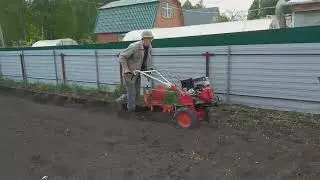 Брайт. Посадка картошки. 2021