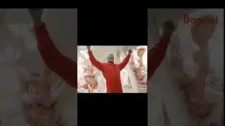 Freddy Fazbear Meme Song Cover #freddyfazbear #meme